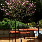 Hotel Roma Prag